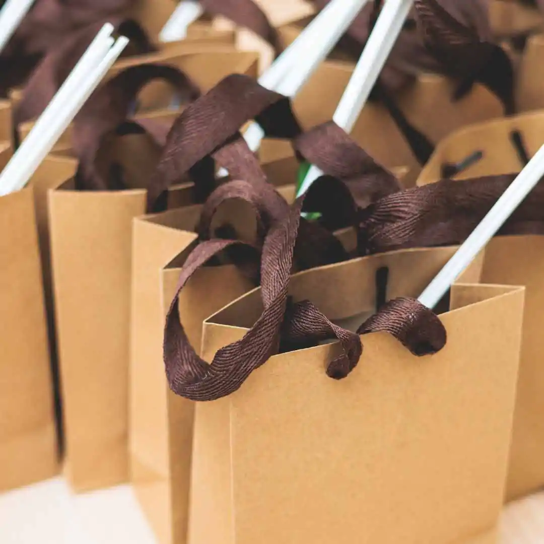 Branded Paper Gift Bags | Custom Gift Packaging | Printex